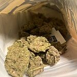 Customer Review Image