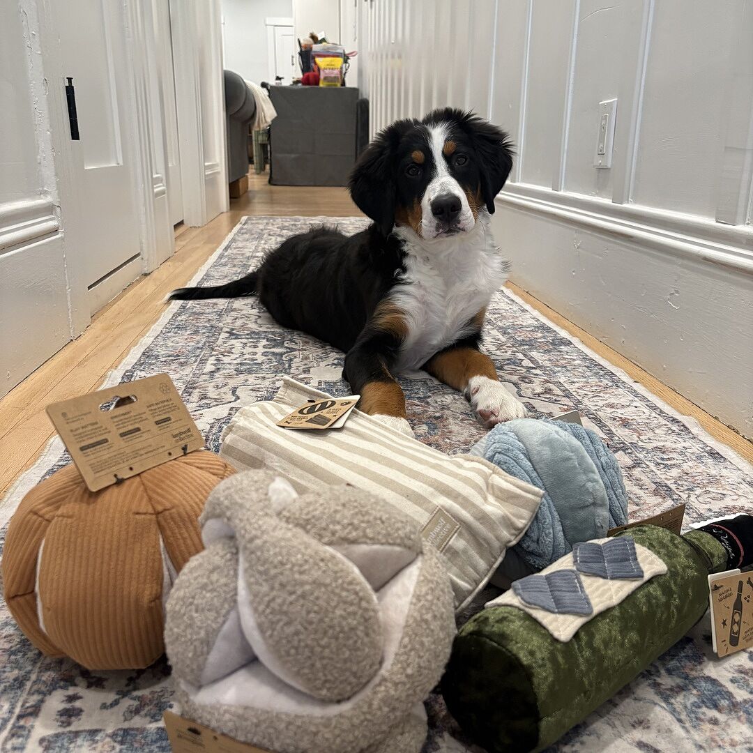 RYE - Enrichment and Interactive Dog Toy | Puzzle Dog Toy
