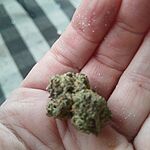 Customer Review Image