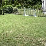 Image of Review by Johanna S. on 14 May 2026 number 1
