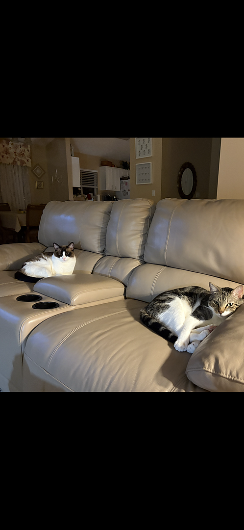 Catalyst Pet customer photo shared by Lorraine M.