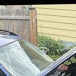 Image of Review by Jose F. on 19 May 2026 number 2