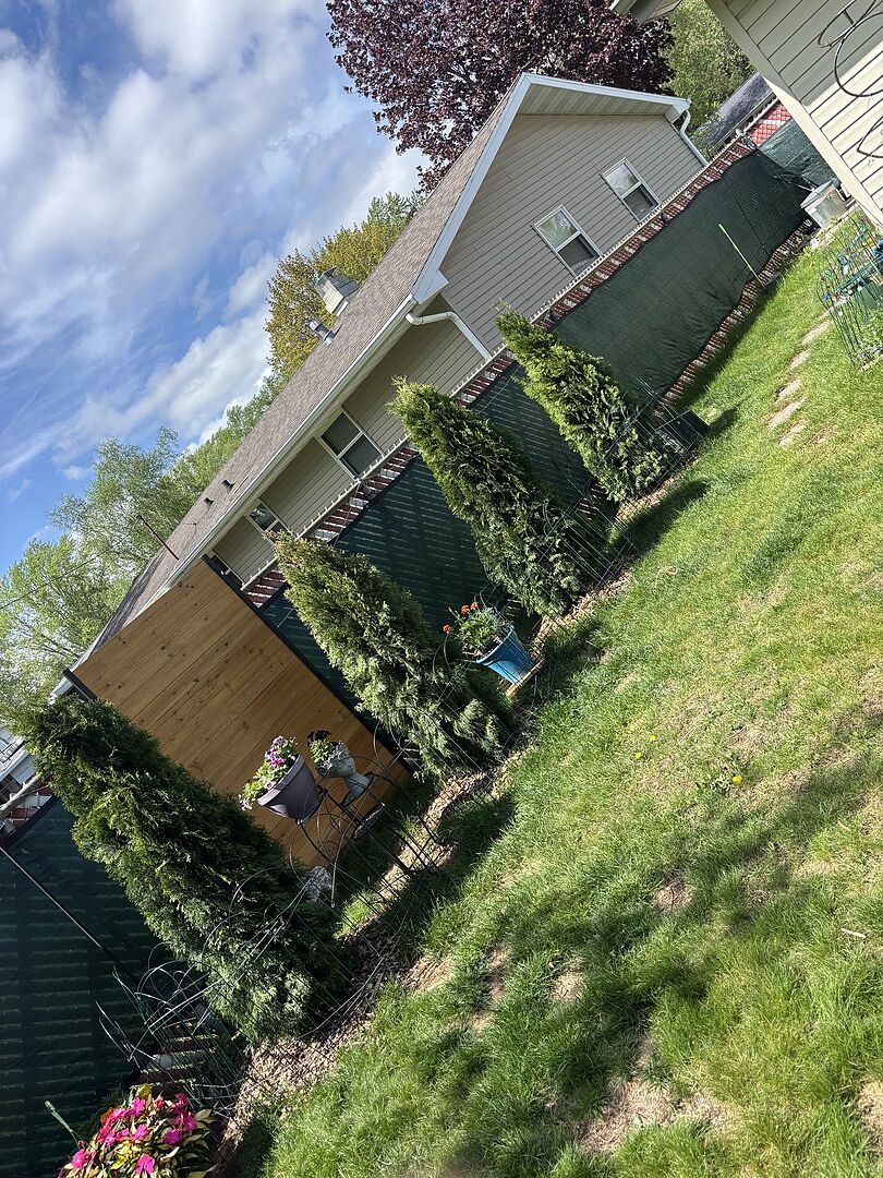 5 stars!! Beautiful trees!