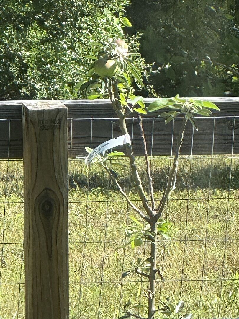 Already bearing fruit!