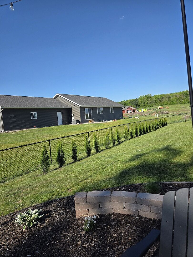 Emerald green arborvitae