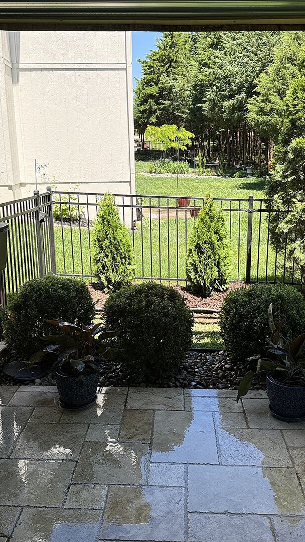 Trees Arrived