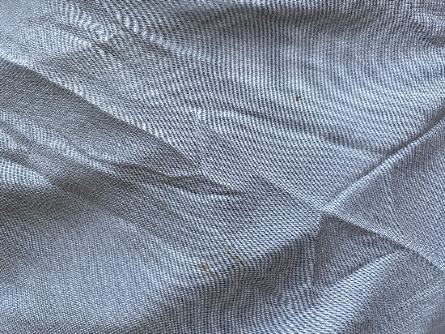 Review image from Taylor S.