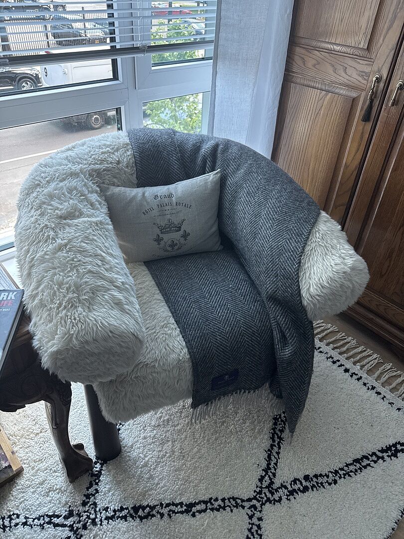 Spara Vegan Shearling Accent Chair | TOV Furniture