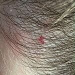 Image of Review by Mel W. on  3 Jun 2026 number 1