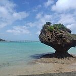 Image of Review by ご利用者様 on  3 Jun 2026 number 1