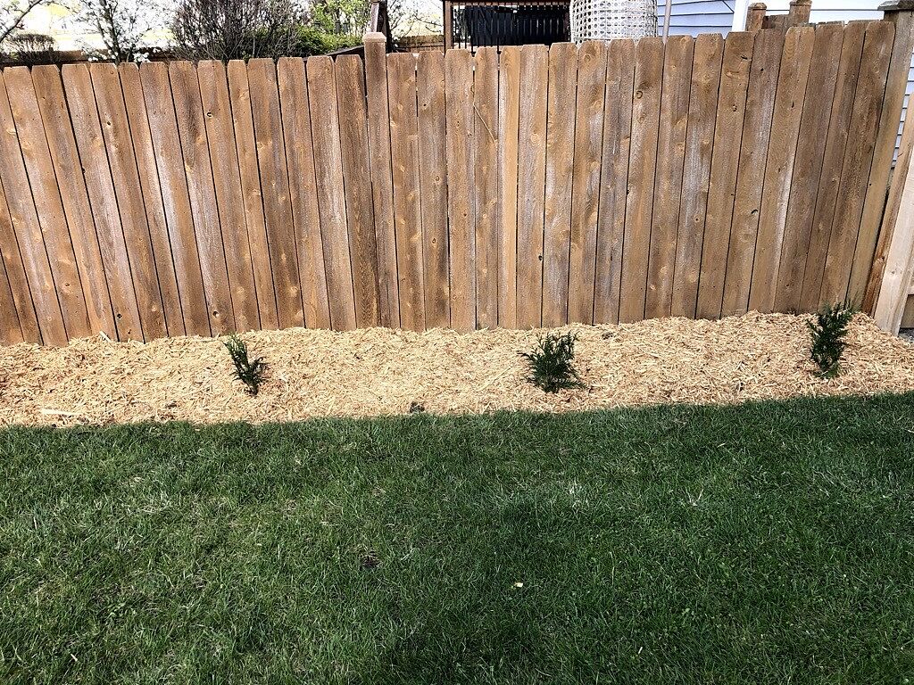 Excellent Privacy and hardy