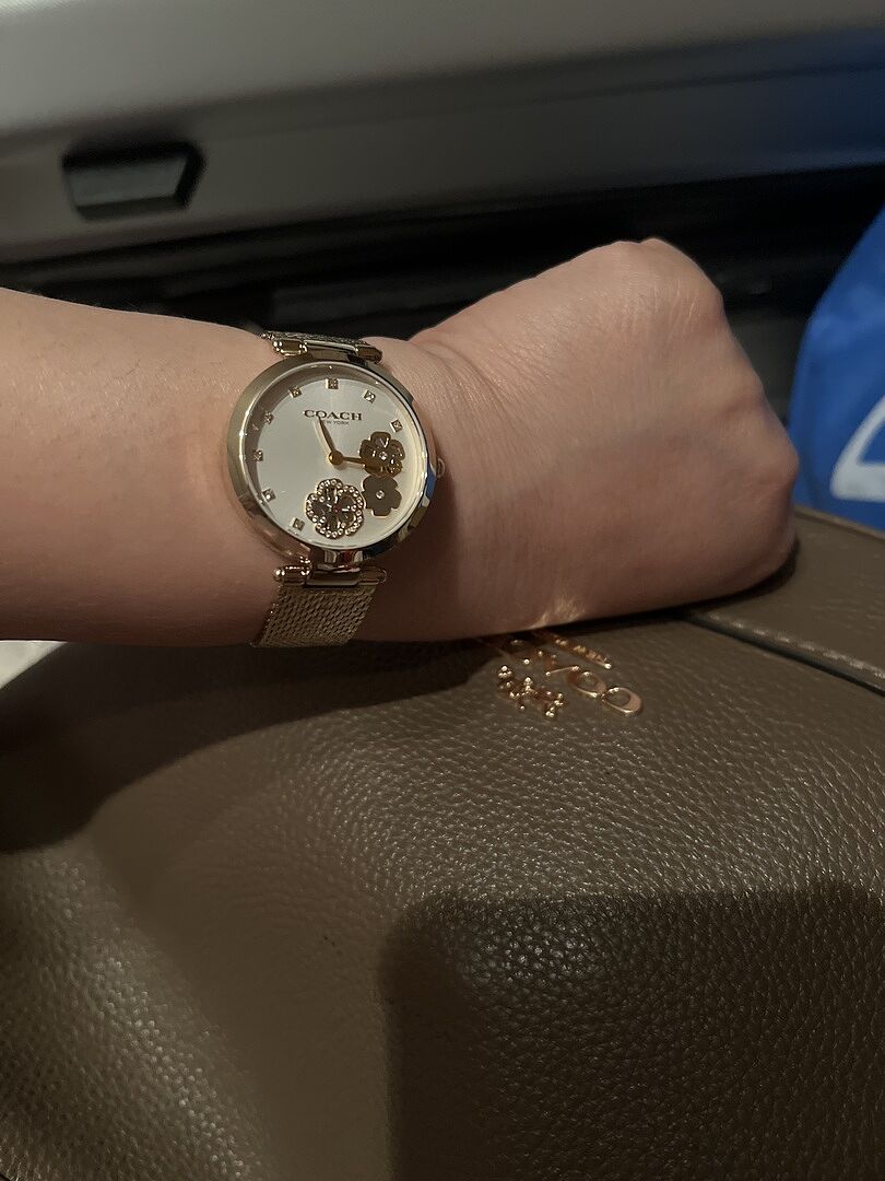 Coach | Movado Company Store | Coach Park display picture 2