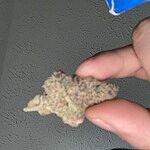 Customer Review Image
