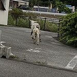 Image of Review by ご利用者様 on 10 Jun 2026 number 1