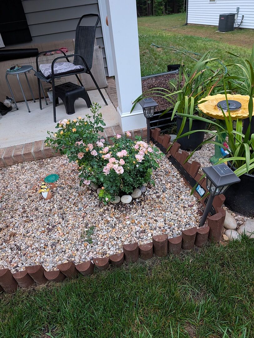 Very nice plants
