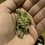 Customer Review Image