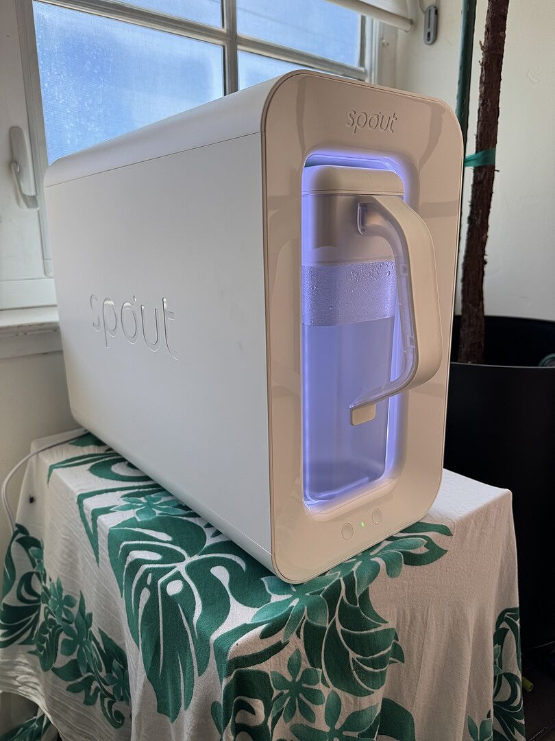 Customer photo from Raven T.’s Spout review