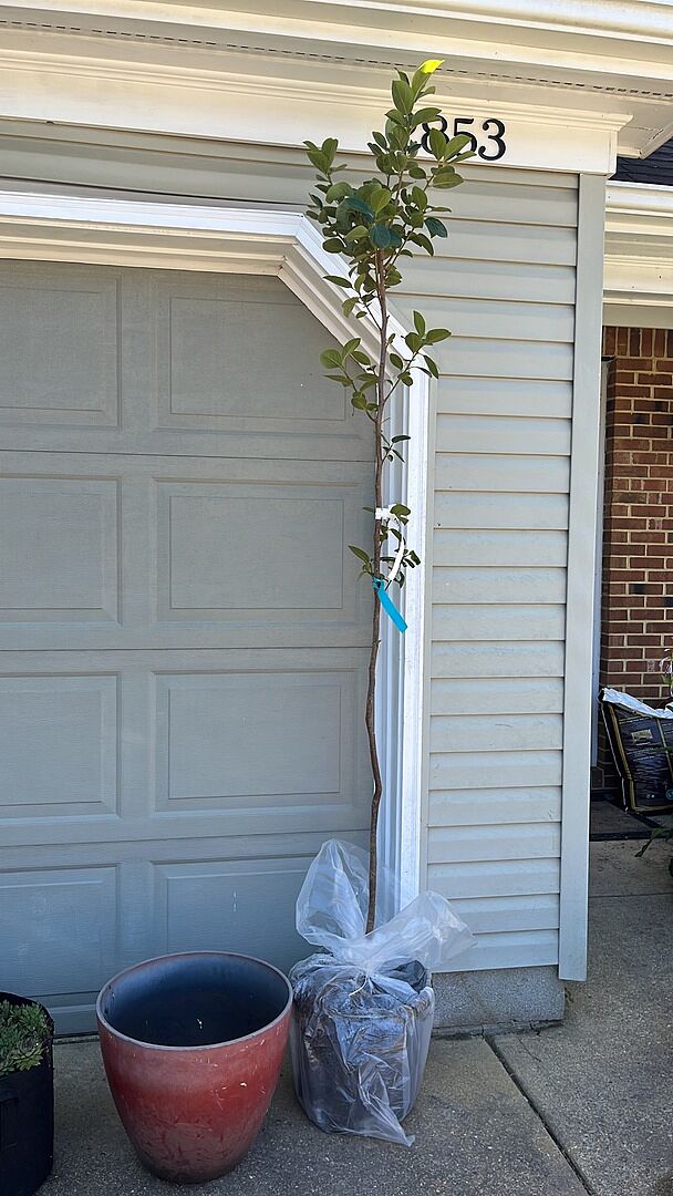 So excited the tree is here!