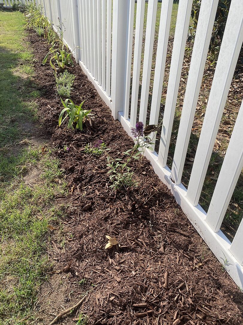 Growing strong