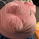 ditto squishy plush