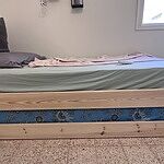 תמונה מחוות הדעת