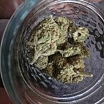 Customer Review Image