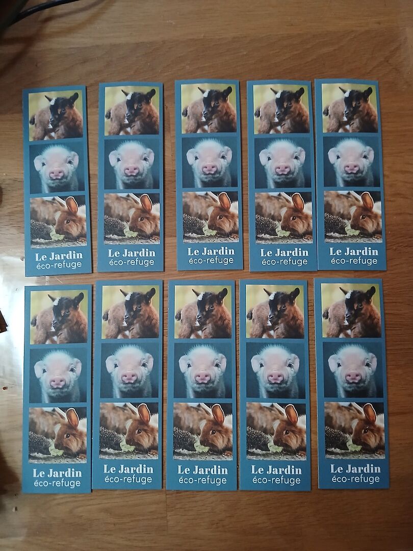 Problème de vue