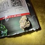 Customer Review Image
