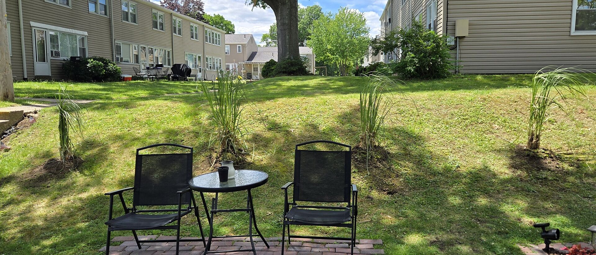 Pampas grass came intact.