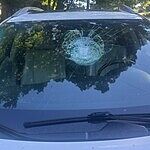 Image of Review by Tanya S. on 23 Jun 2026 number 2