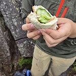 Image of Review by フッキ on 26 Jun 2026 number 3