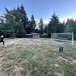 Image of Review by Colleen C. on 28 Jun 2026 number 1