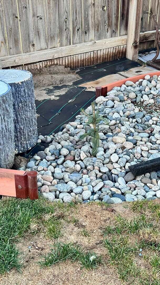 SPRUCED UP THE YARD