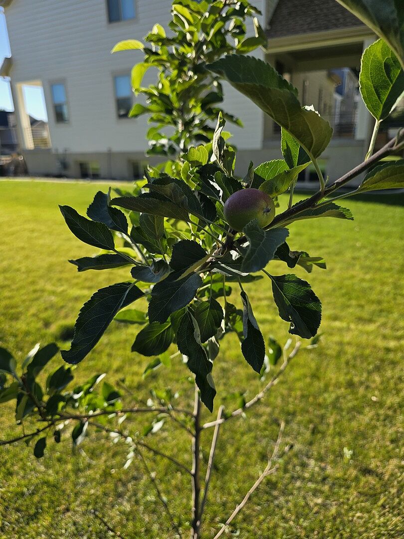 Get Apples fast