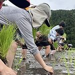 Image of Review by im on 30 Jun 2026 number 1