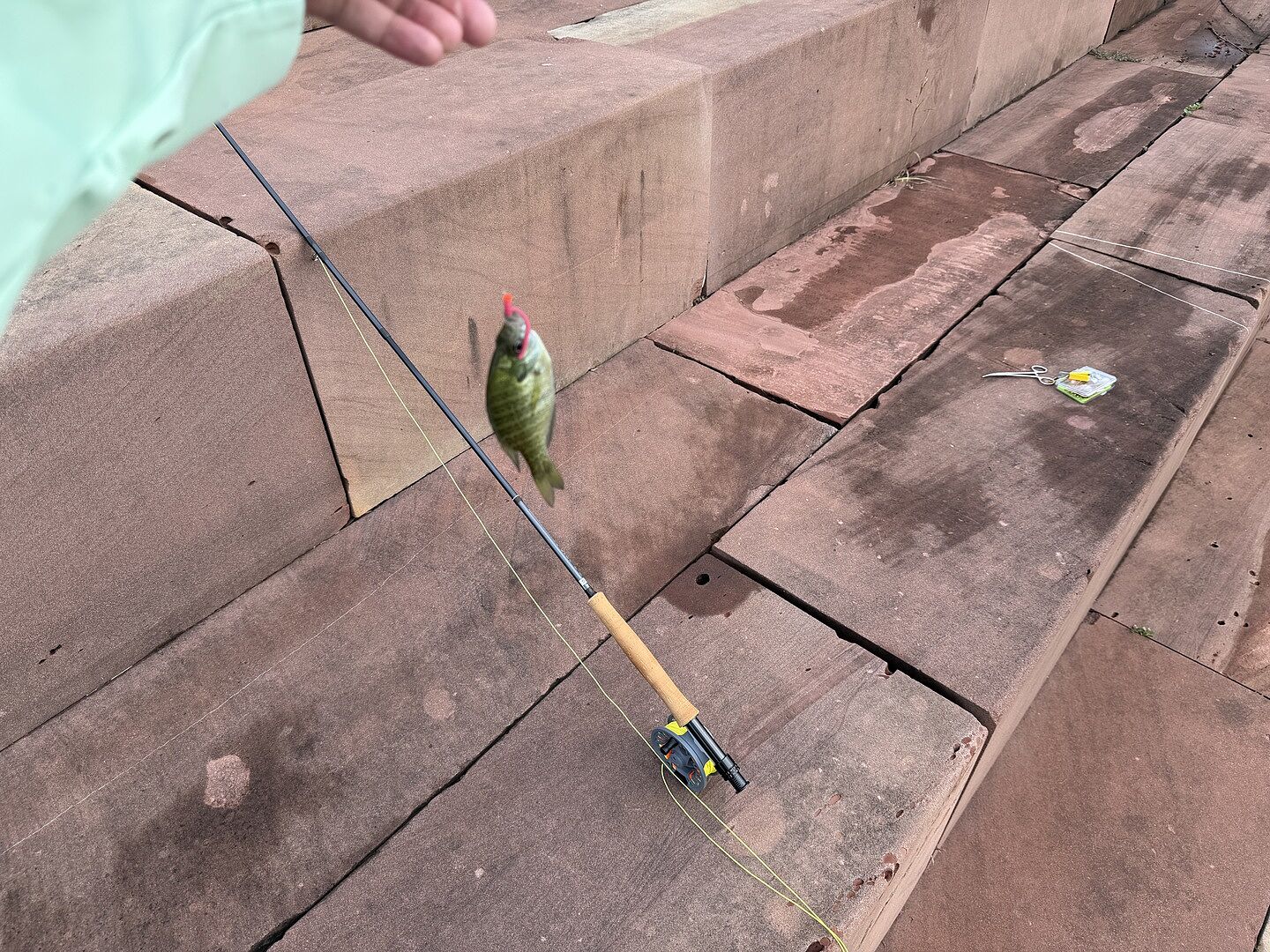 Clearwater® Fly Rod Outfit | Orvis