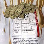 Customer Review Image