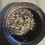 Customer Review Image