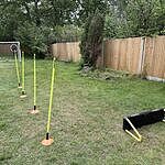 Image of Review by Doris Y. on 19 May 2026 number 1