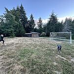 Image of Review by Colleen C. on 28 Jun 2026 number 1