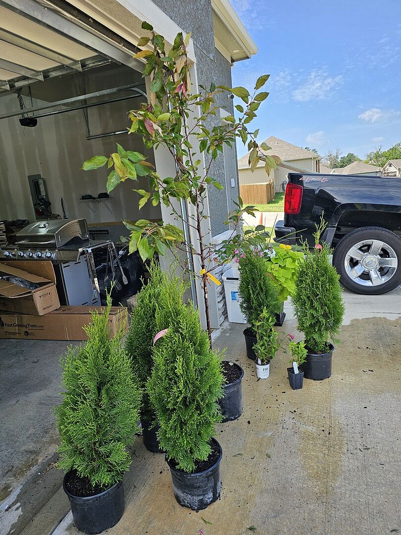 Great looking plants