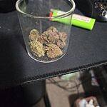 Customer Review Image
