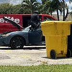 Image of Review by Mike V. on  4 Jul 2026 number 1