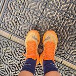Image of Review by Becky W. on  6 Jul 2026 number 1