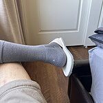 Image of Review by Hal on  8 Jul 2026 number 1