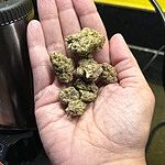 Customer Review Image