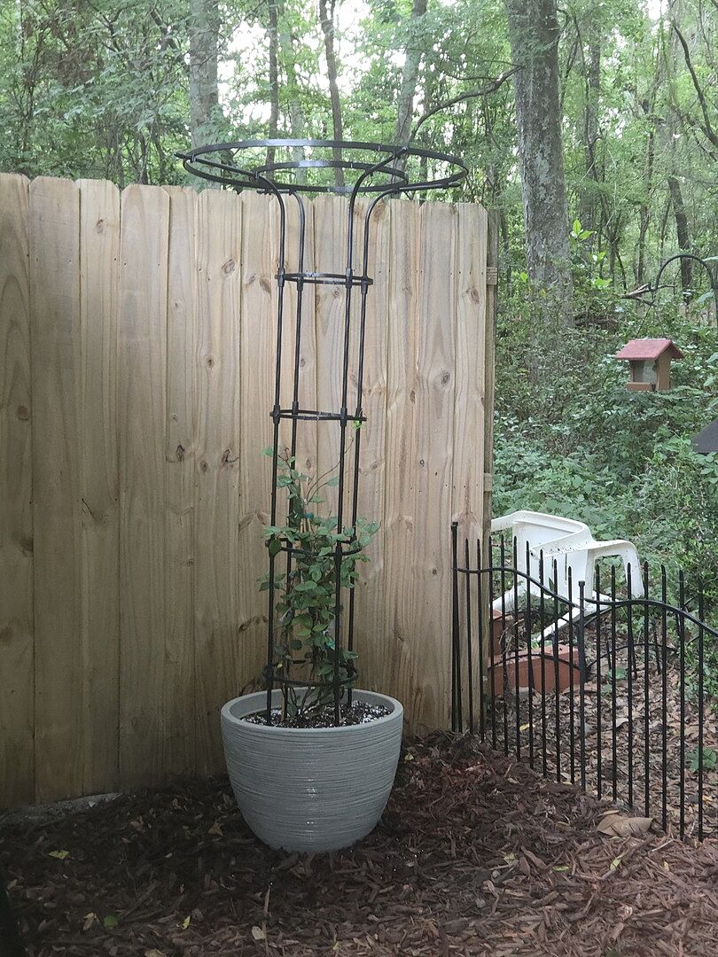 Media from review #5