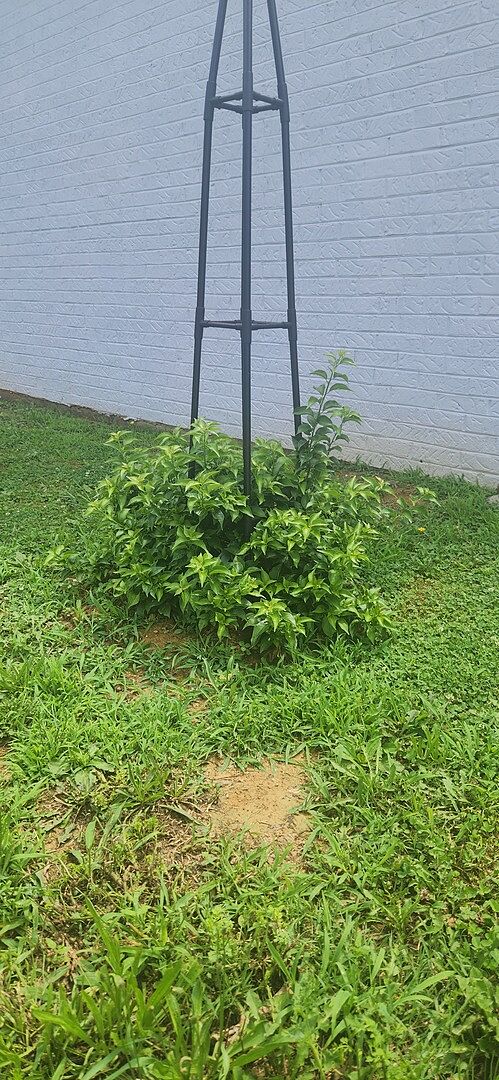 Taking root!