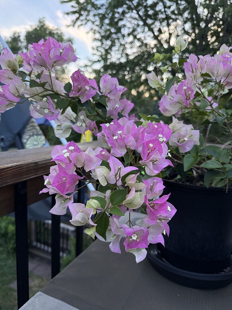 Beautiful!