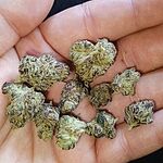 Customer Review Image